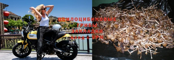 прущая мука Абаза