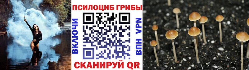 Галлюциногенные грибы Cubensis  как найти наркотики  Мамадыш 